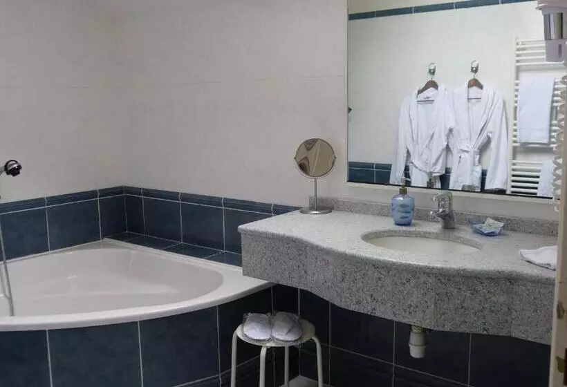 Отель L Aubinière Hôtel Restaurant & Spa