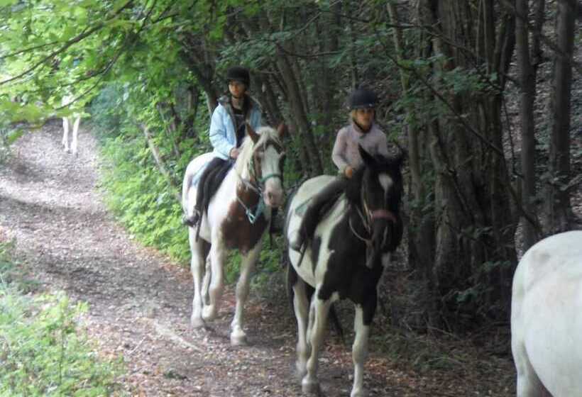 فندق Réaumont Cottage Event S