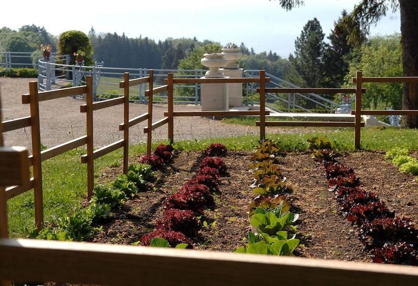 Отель Château Des Avenieres   Relais & Châteaux