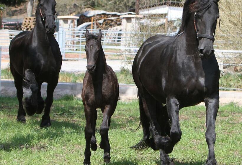 酒店 Saarlandtraum Weihermühle