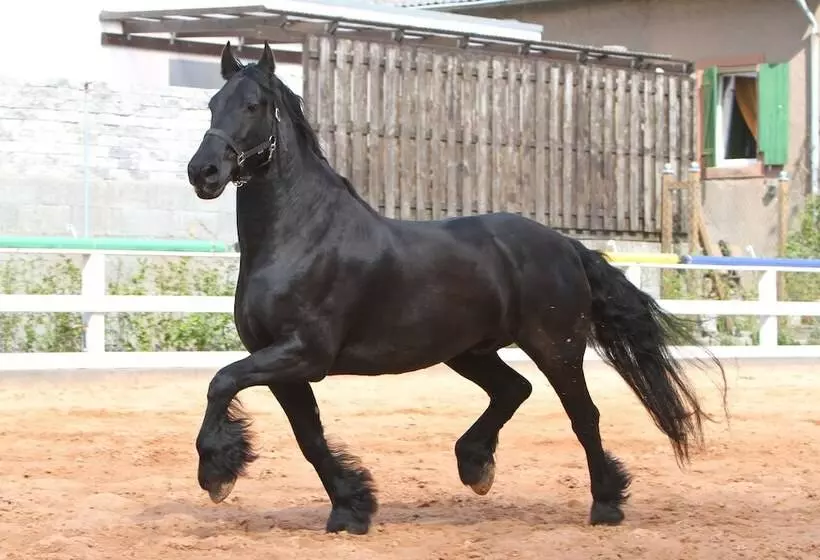 Hotel Saarlandtraum Weihermühle