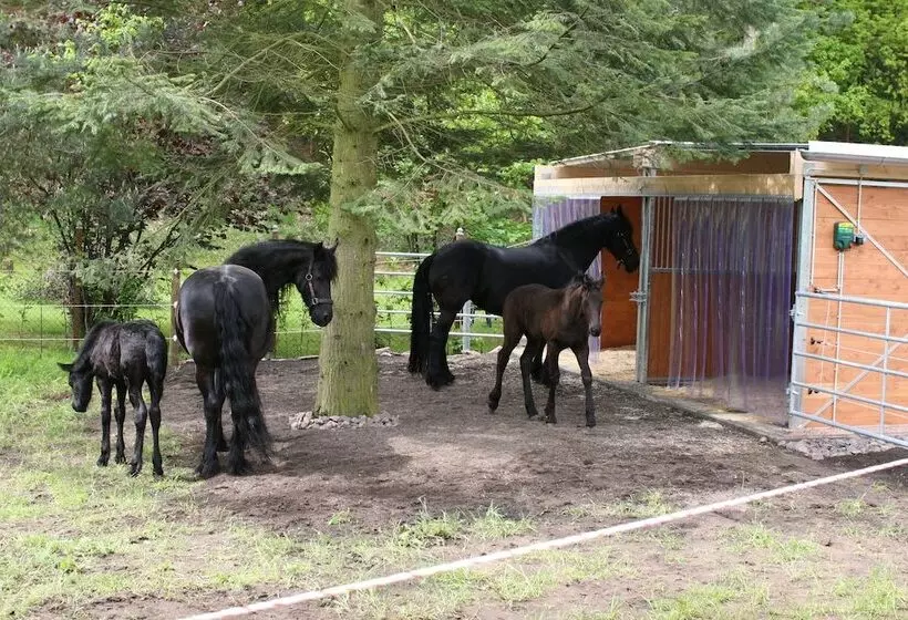 Hotel Saarlandtraum Weihermühle