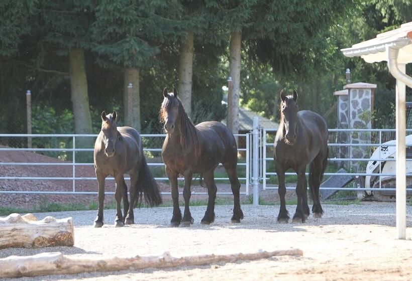 酒店 Saarlandtraum Weihermühle