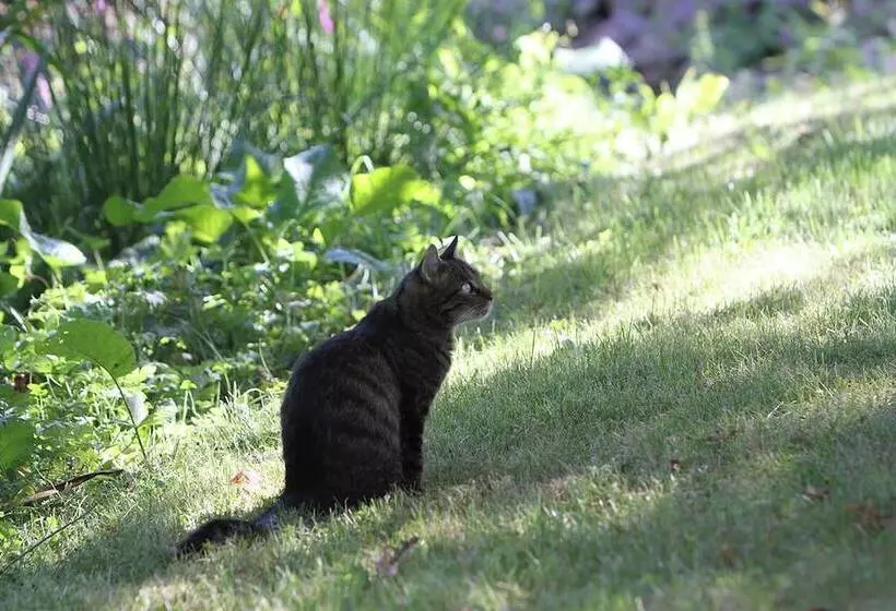 Hotel Saarlandtraum Weihermühle