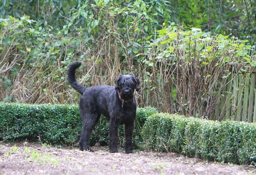 酒店 Saarlandtraum Weihermühle