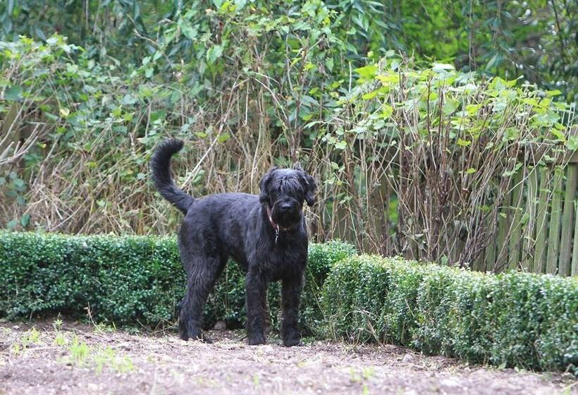 酒店 Saarlandtraum Weihermühle