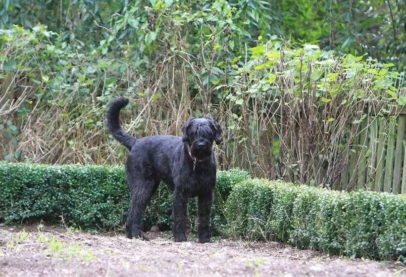 Hotel Saarlandtraum Weihermühle