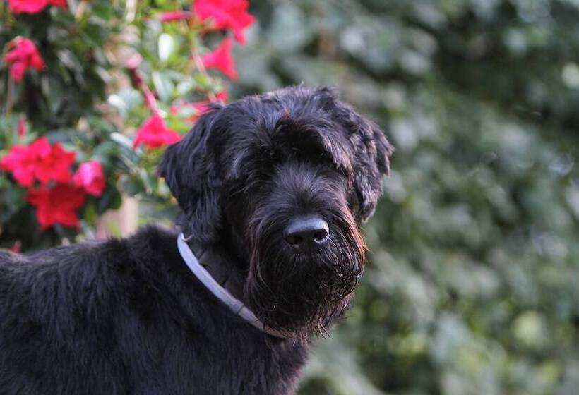 酒店 Saarlandtraum Weihermühle