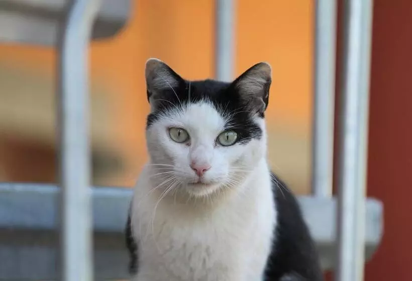 Hotel Saarlandtraum Weihermühle