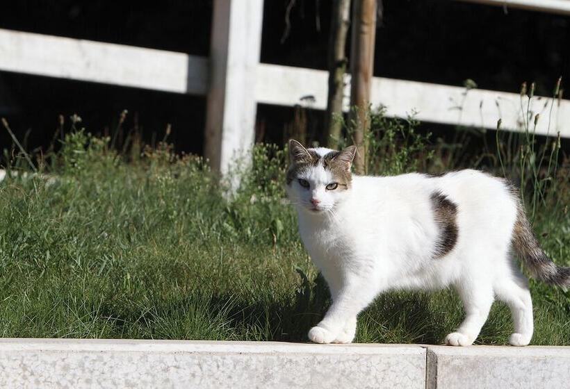 酒店 Saarlandtraum Weihermühle