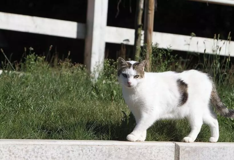 Hotel Saarlandtraum Weihermühle