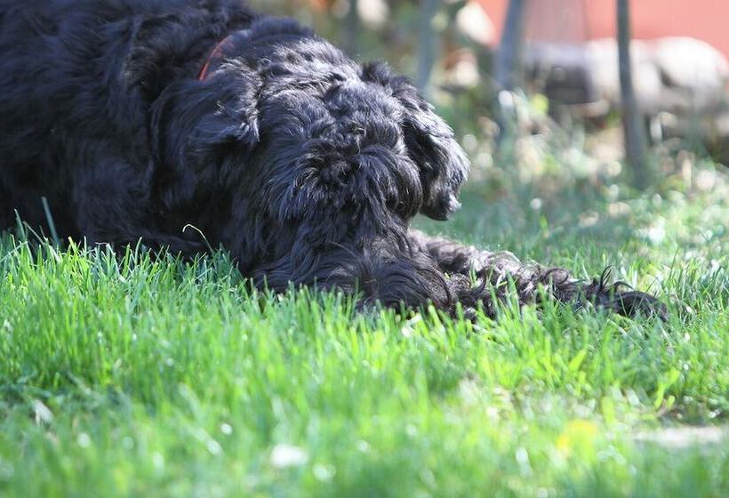 酒店 Saarlandtraum Weihermühle