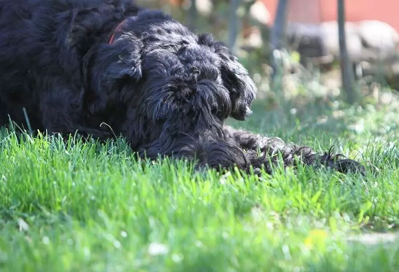Hotel Saarlandtraum Weihermühle