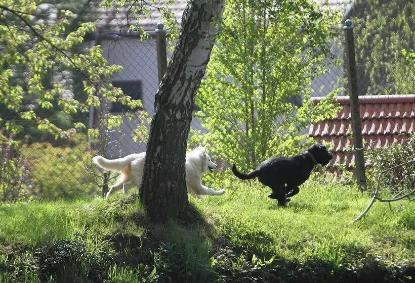 Hotel Saarlandtraum Weihermühle