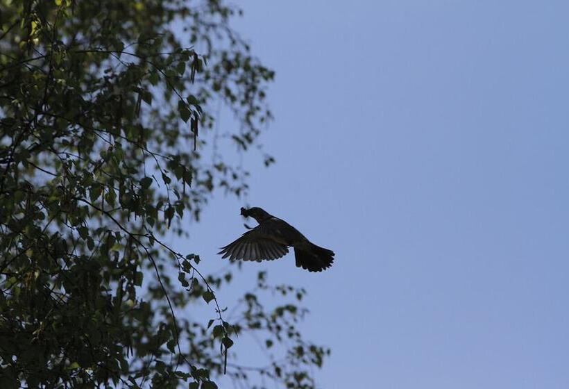 酒店 Saarlandtraum Weihermühle