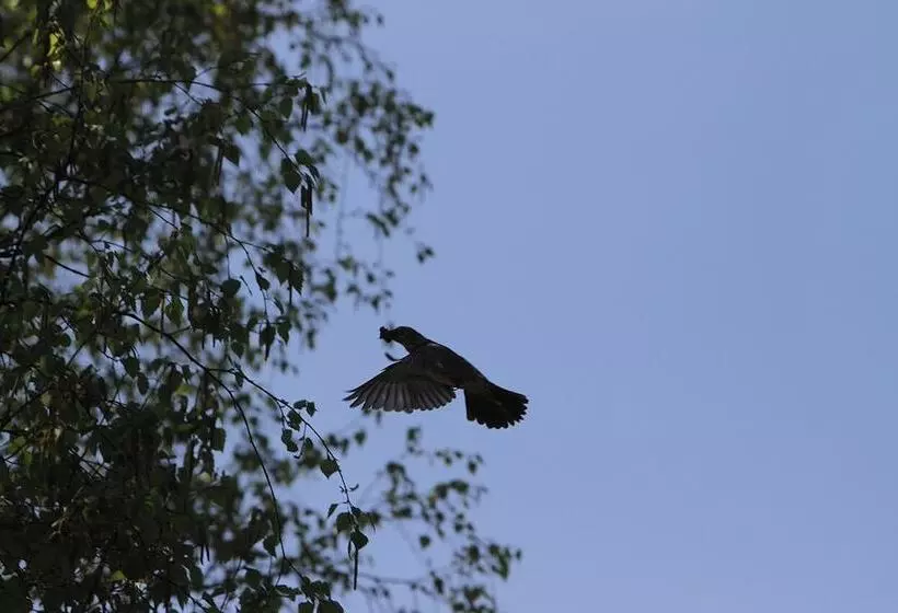 Hotel Saarlandtraum Weihermühle
