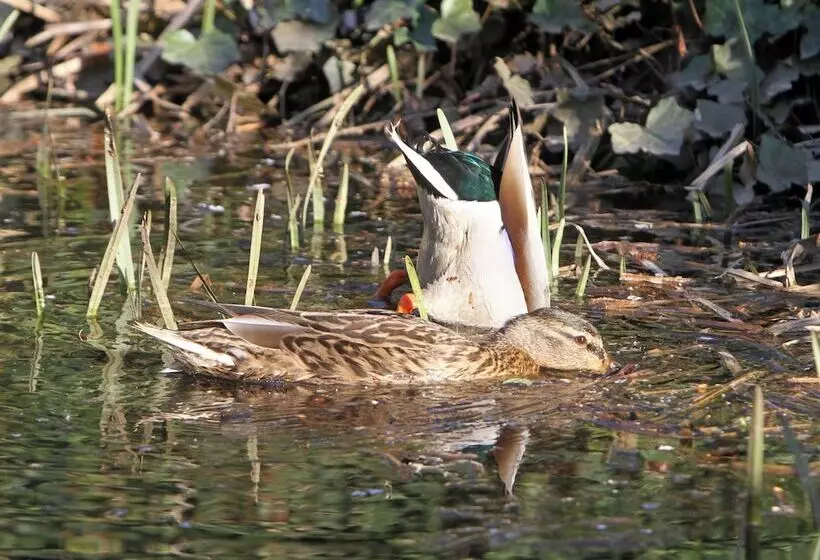 Hotel Saarlandtraum Weihermühle