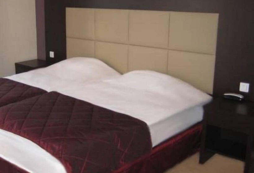 בית מלון כפרי Savoy Hôtel Evian