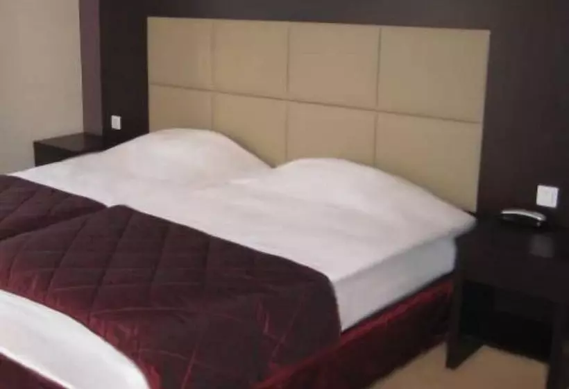 בית מלון כפרי Savoy Hôtel Evian