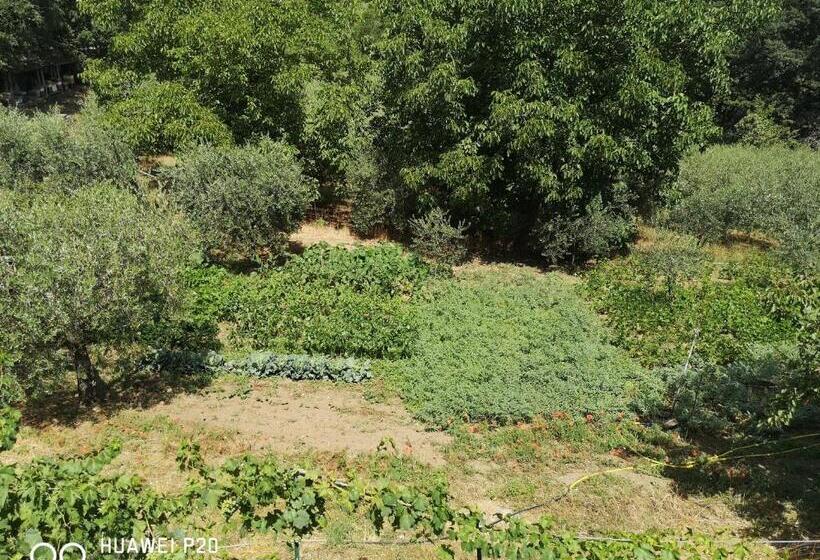 Ape Regina Agriturismo 3