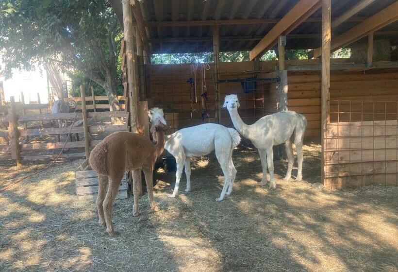 Gite Sitio Nathalie Et Jos