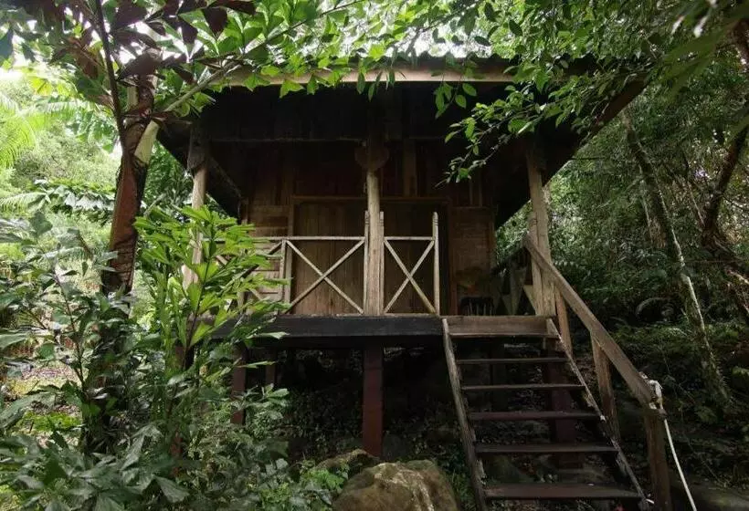 Hotelli Mad Monkey Koh Rong Samloem