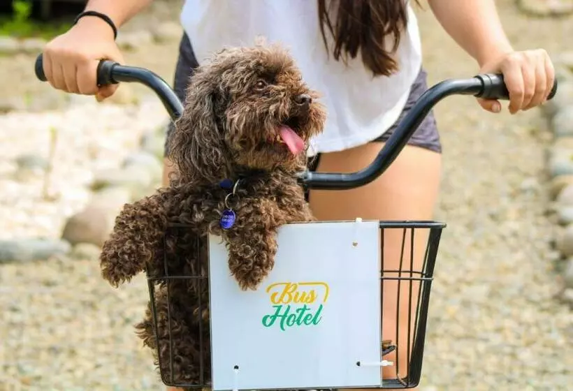 Bushotel Puerto Viejo With Private Hot Tube Very Close To Town