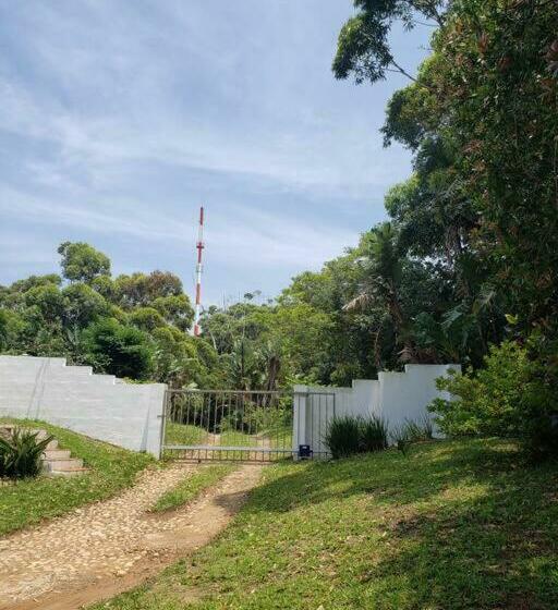 Little Jack S Cottage   2 Guests + Pet Friendly