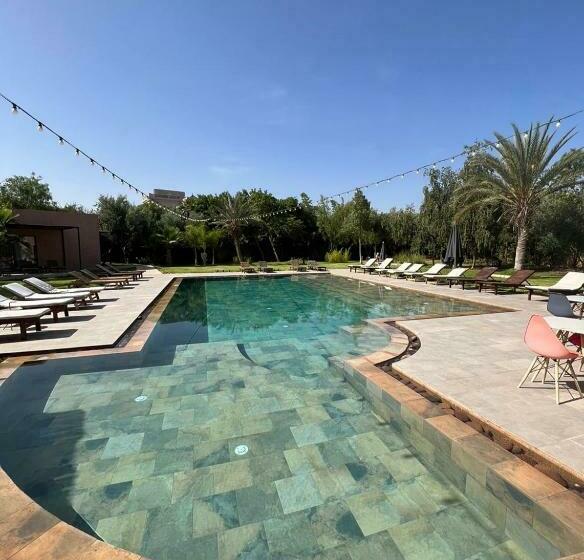 פנסיון The Bird