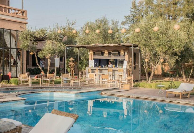 פנסיון The Bird