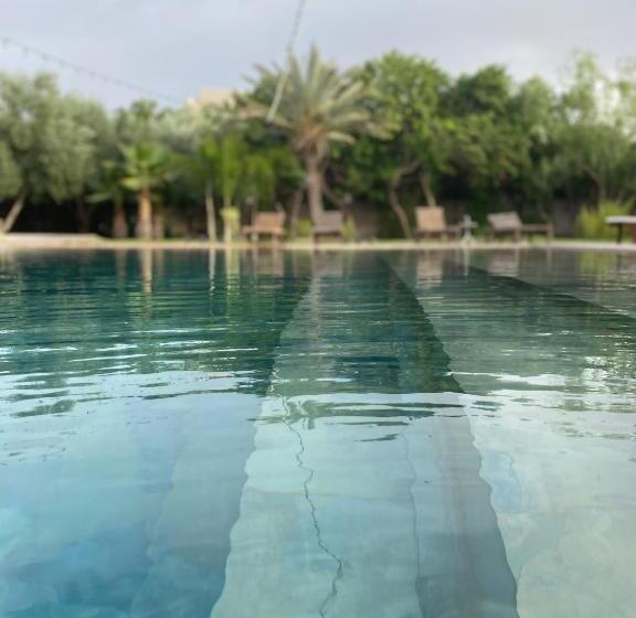 פנסיון The Bird