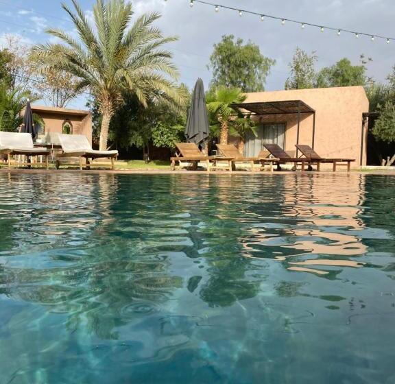 פנסיון The Bird