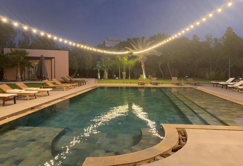 פנסיון The Bird