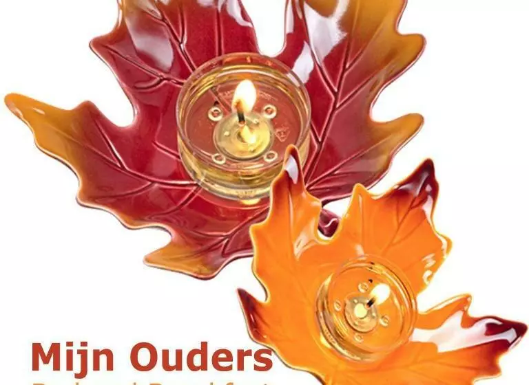 Aamiaismajoitus (B&B) Appartement Mijn Ouders Bed En Breakfast Emmeloord