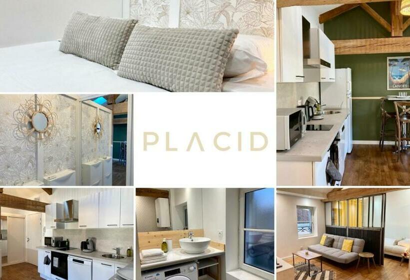 Le Petit Landais   Chaleureux