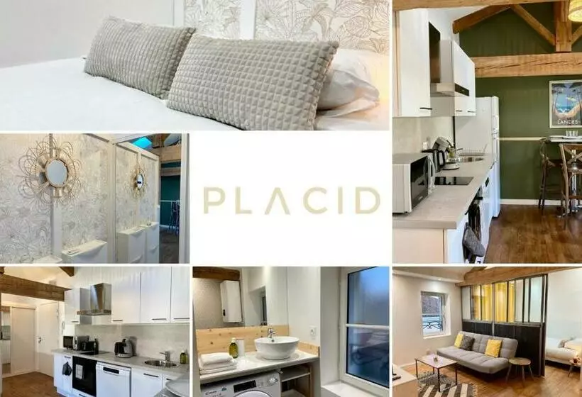 Le Petit Landais   Chaleureux