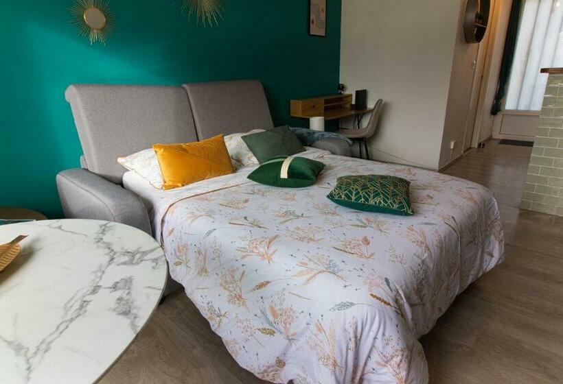 Le Pic Vert De Bergerac Idéal Pro, Solo, Couples Studio Au Calme Parking Gratuit 400m Hôpi