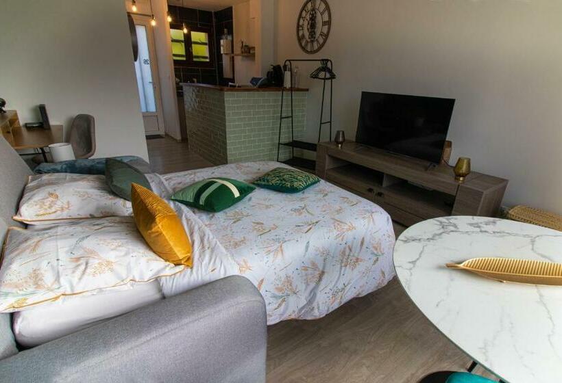 Le Pic Vert De Bergerac Idéal Pro, Solo, Couples Studio Au Calme Parking Gratuit 400m Hôpi