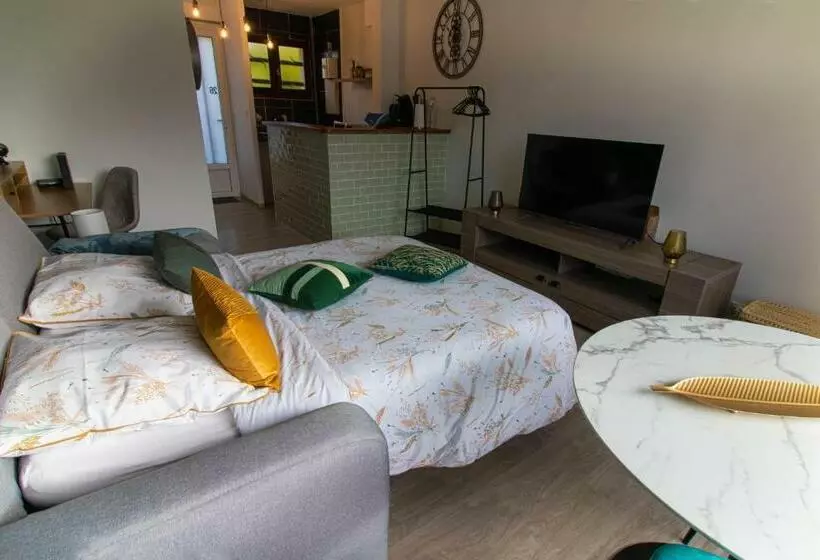 Le Pic Vert De Bergerac Idéal Pro, Solo, Couples Studio Au Calme Parking Gratuit 400m Hôpi
