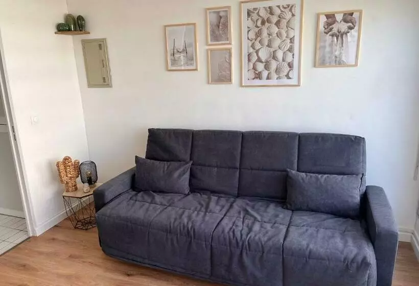 Suite Thalassa Première Ligne Couchant Wifi   Rossiconciergerie   Linge Inclus