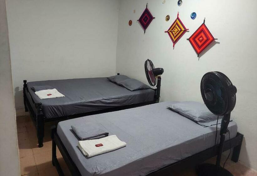 Apto #5 Cómodo Y Acogedor En Lugar Estratégico