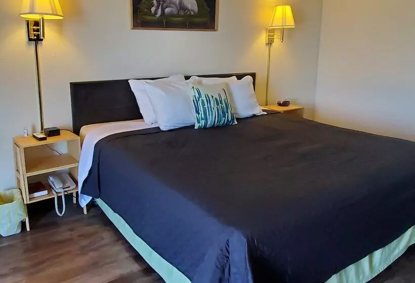 Motelli Cactus Inn & Suites