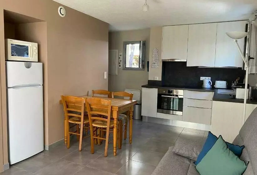 Appartement T2 Rénové Avec Terrasse à 20m De La Plage   Garage   Wifi   Classé 2 étoiles   Fr 1 539
