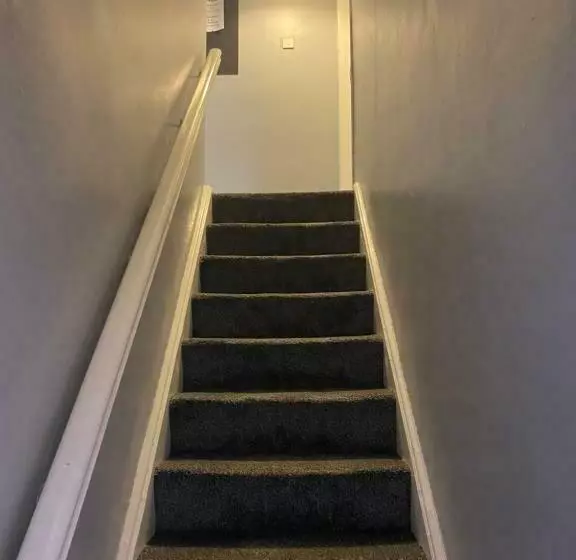 تختخواب و صبحانه Bnb81