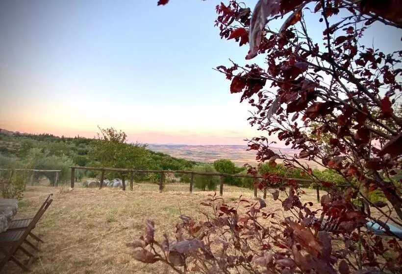 ホテル Agriturismo Podere Casella