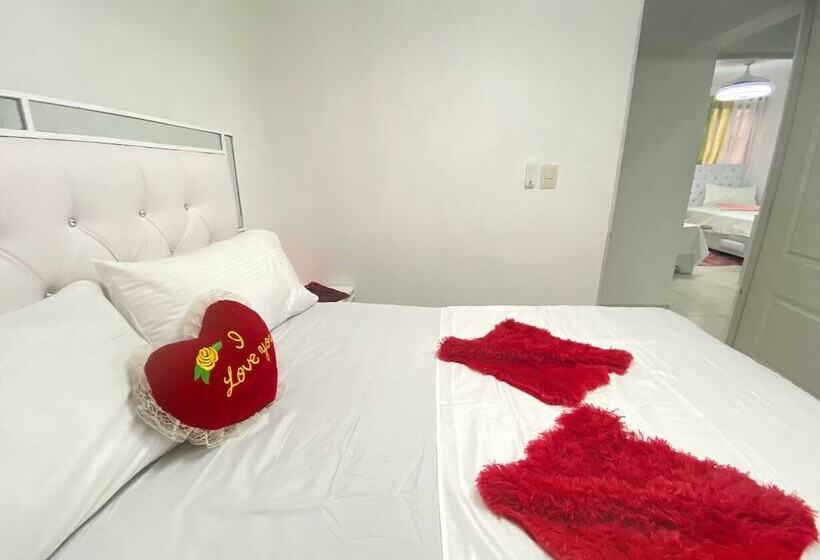 9dr 3 Bedroom Apartment Near Monumental Area