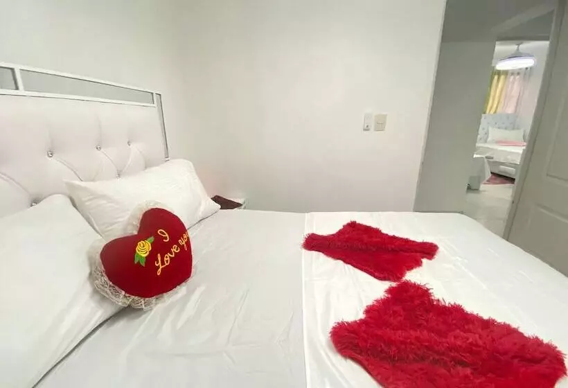 9dr 3 Bedroom Apartment Near Monumental Area