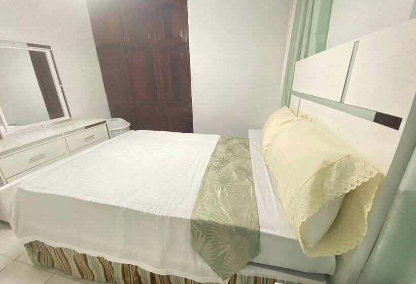 9dr 3 Bedroom Apartment Near Monumental Area