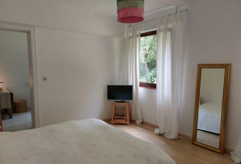 Ferienwohnung Rodenberg