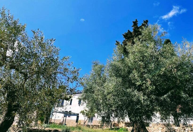 Masia St Salvador 1582